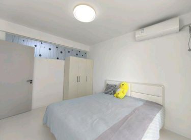 沈大小区 1室1厅1卫 婚装