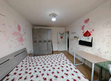 世纪新城东区 1室1厅1卫 简装