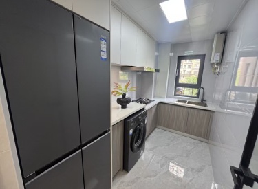 中铁丁香水岸 2室2厅1卫 豪华装修 