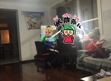 拍照那天阴天，光线绝对充足