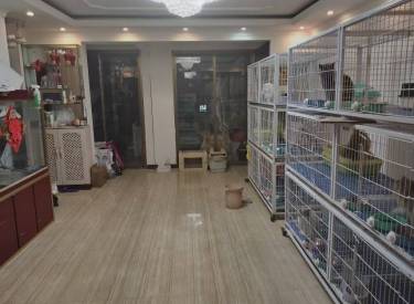 银塔馨苑 3室1厅1卫 简装