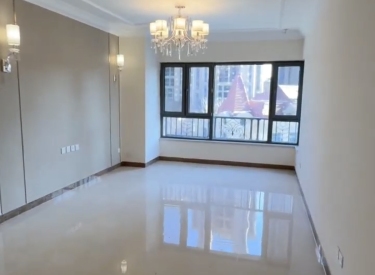 品牌开发次新三室精装一天没住过