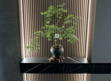 浦江御景湾一线河景宽厅三室