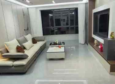 奥园会展广场两室精装