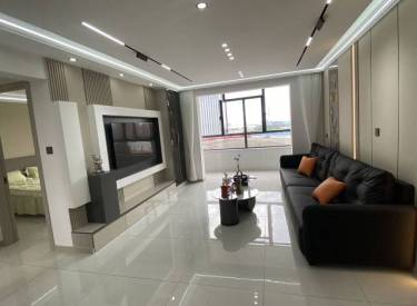 奥园会展广场两室精装修