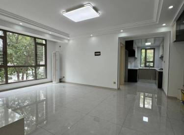 碧桂园东区小高，三室两厅厅