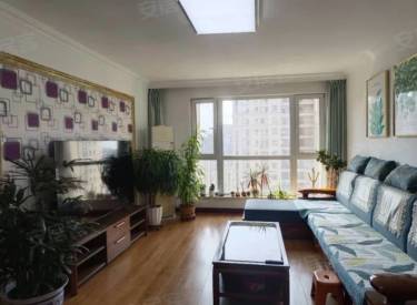 国瑞城 3室2厅2卫 精装 