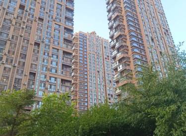 铸诚花园 4室2厅2卫 精装 