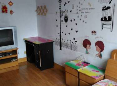 民富小区 一室一厅