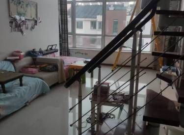 沈河区-中房上东花墅牡丹园