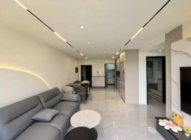 太湖国际花园 2室2厅1卫 豪华装修 