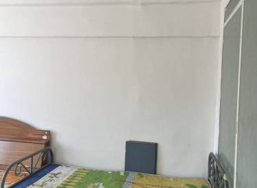 上园二小区 1室1厅1卫 简装 