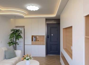 东湖小区 1室1厅1卫 精装 