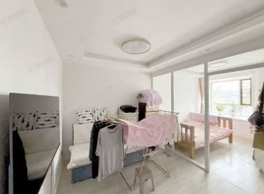 东方银座中心城 2室1厅1卫 精装 