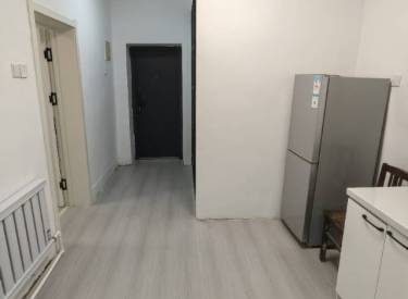 沈厂荆西区 1室1厅1卫 精装 